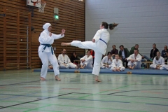 IMG_8712_bearbeitet-1