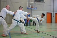 IMG_8719_bearbeitet-1