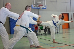 IMG_8720_bearbeitet-2