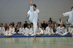 IMG_8734_bearbeitet-1
