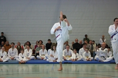 IMG_8735_bearbeitet-1