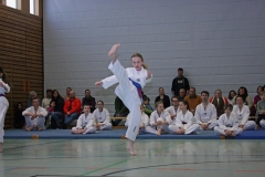 IMG_8737_bearbeitet-1