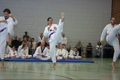 IMG_8738_bearbeitet-1