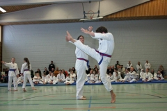 IMG_8755_bearbeitet-1