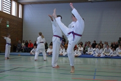 IMG_8756_bearbeitet-1