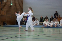 IMG_8764_bearbeitet-1