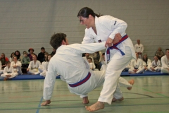 IMG_8765_bearbeitet-2