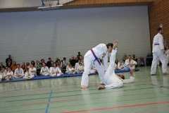 IMG_8771_bearbeitet-1
