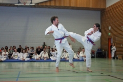 IMG_8776_bearbeitet-1