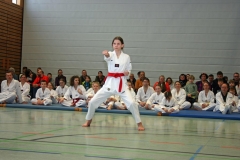 IMG_8791_bearbeitet-1