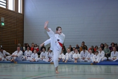 IMG_8794_bearbeitet-1