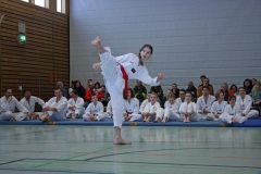 IMG_8795_bearbeitet-1