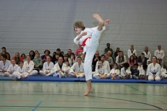 IMG_8796_bearbeitet-1