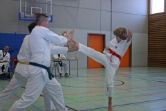 IMG_8821_bearbeitet-1