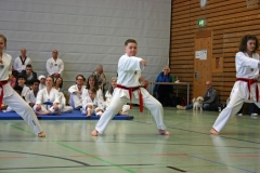 IMG_8832_bearbeitet-1