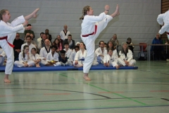 IMG_8837_bearbeitet-1