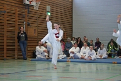 IMG_8839_bearbeitet-1