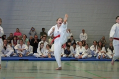 IMG_8842_bearbeitet-1