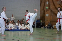 IMG_8843_bearbeitet-1