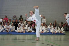 IMG_8846_bearbeitet-1