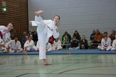 IMG_8847_bearbeitet-1