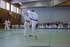 IMG_8856_bearbeitet-1