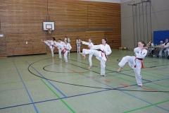 IMG_8875_bearbeitet-1