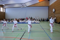 IMG_8880_bearbeitet-1