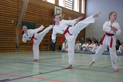 IMG_8884_bearbeitet-2