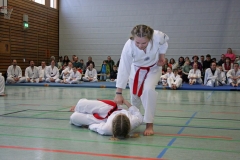 IMG_8889_bearbeitet-1