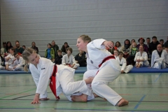 IMG_8891_bearbeitet-1