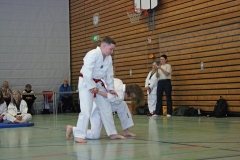 IMG_8892_bearbeitet-1