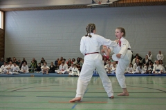 IMG_8902_bearbeitet-1