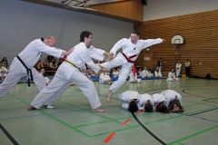 IMG_8907_bearbeitet-1