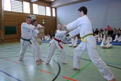 IMG_8908_bearbeitet-1