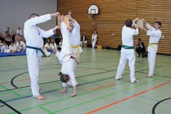 IMG_8914_bearbeitet-2