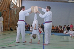 IMG_8919_bearbeitet-2