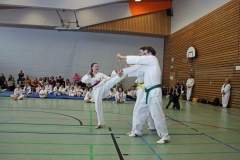 IMG_8924_bearbeitet-1