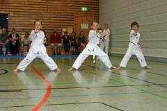 IMG_2440_bearbeitet-1