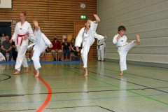 IMG_2442_bearbeitet-1