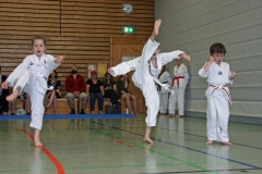 IMG_2447_bearbeitet-1