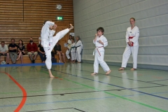 IMG_2457_bearbeitet-1