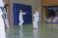 IMG_2459_bearbeitet-1