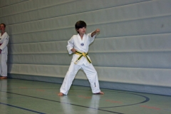 IMG_2469_bearbeitet-1