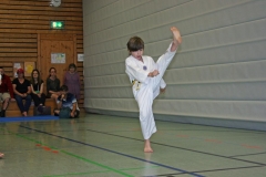 IMG_2492_bearbeitet-1