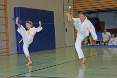 IMG_2494_bearbeitet-1