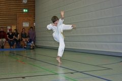 IMG_2497_bearbeitet-1