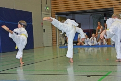 IMG_2502_bearbeitet-1