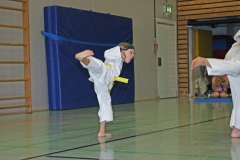 IMG_2504_bearbeitet-1