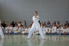 IMG_2519_bearbeitet-1